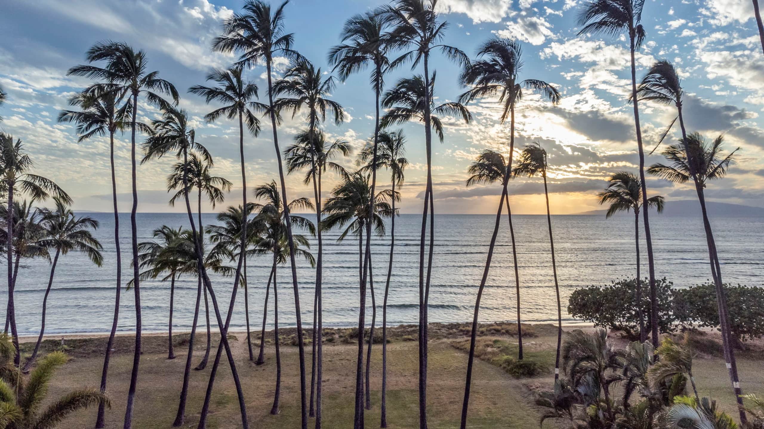 Home in Kihei · ★4.83 · 5 bedrooms · 4 beds · 5 baths - Image 4