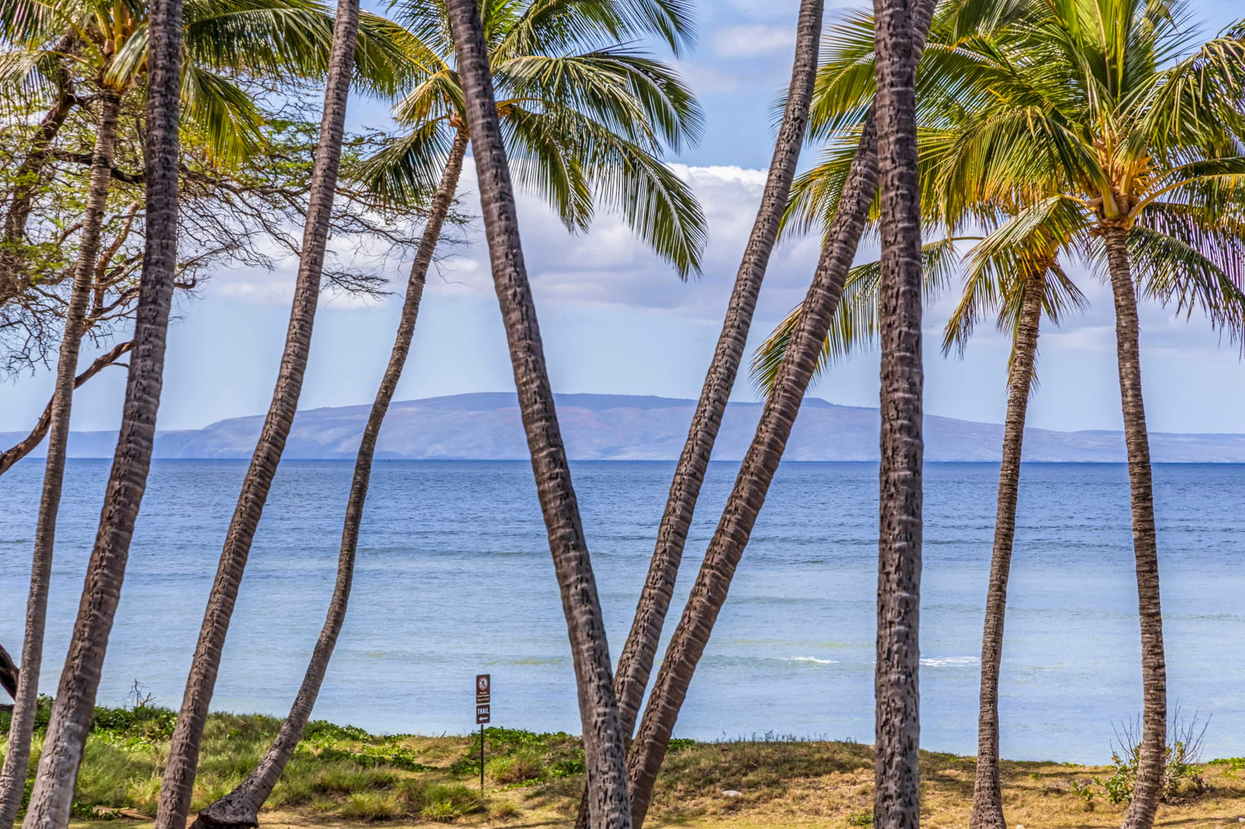 Home in Kihei · ★4.83 · 5 bedrooms · 4 beds · 5 baths - Image 33