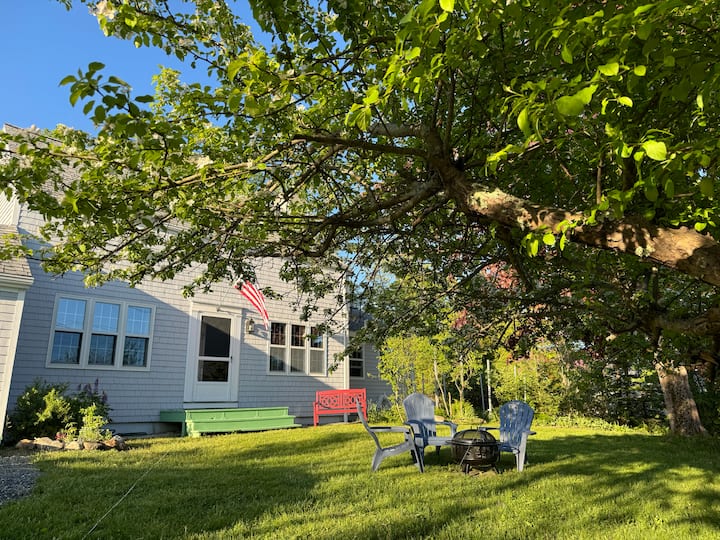 Sea Breeze Cottage in idyllic Castine Maine! Houses for Rent in