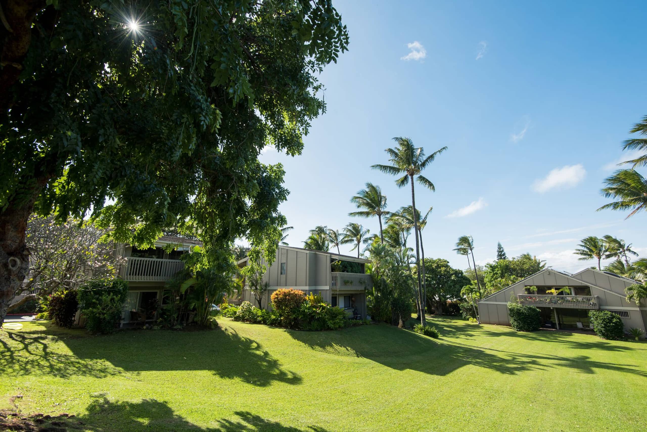 Seaglass Maui - Tranquil Oasis Near the Ocean - Image 18