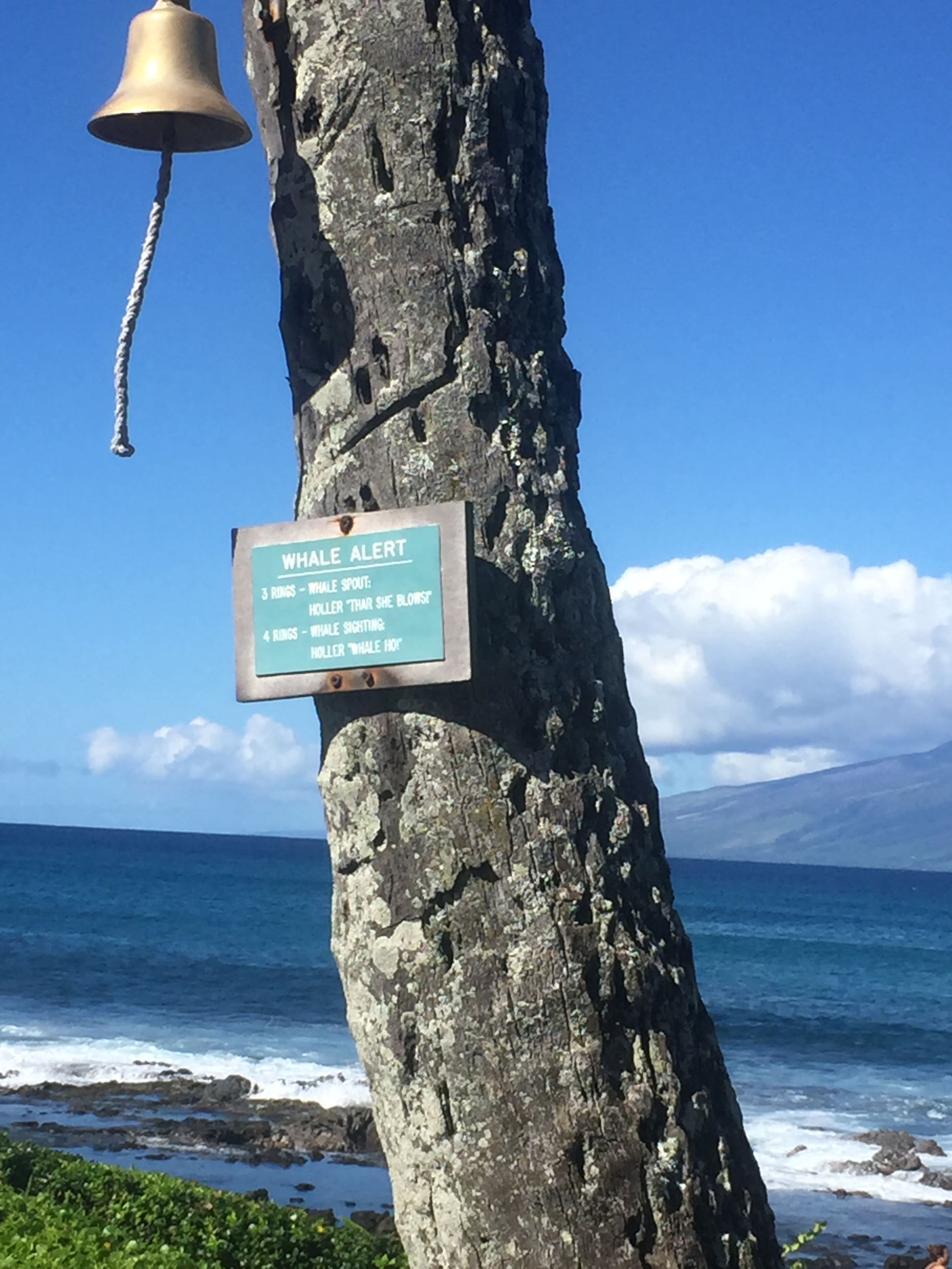 Seaglass Maui - Tranquil Oasis Near the Ocean - Image 37