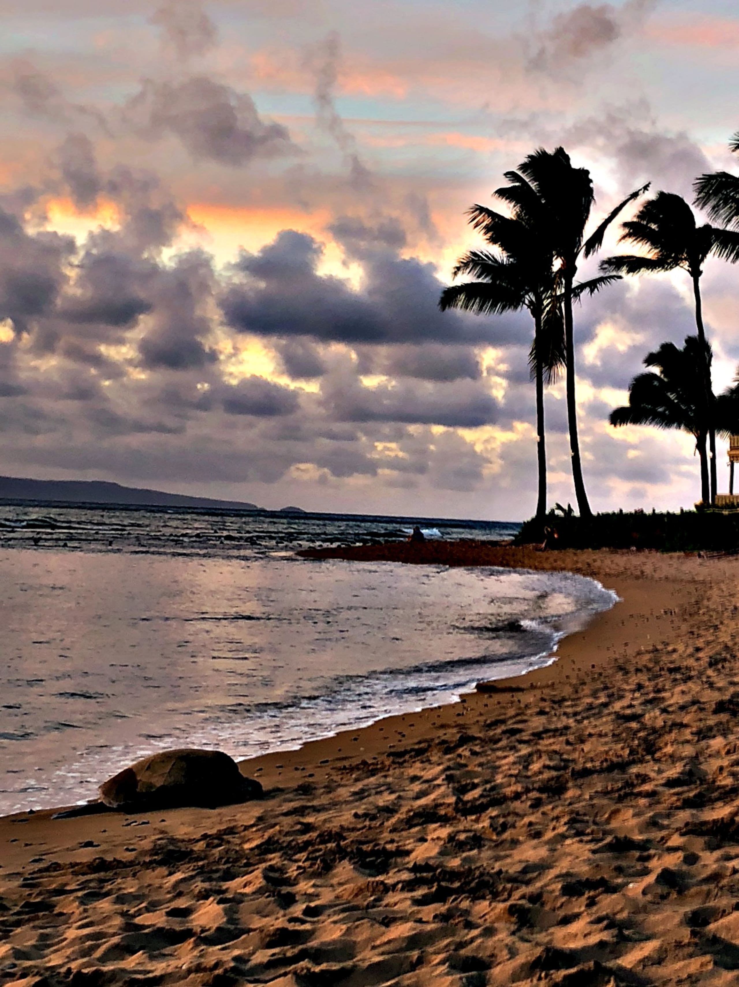 Seaglass Maui - Tranquil Oasis Near the Ocean - Image 40