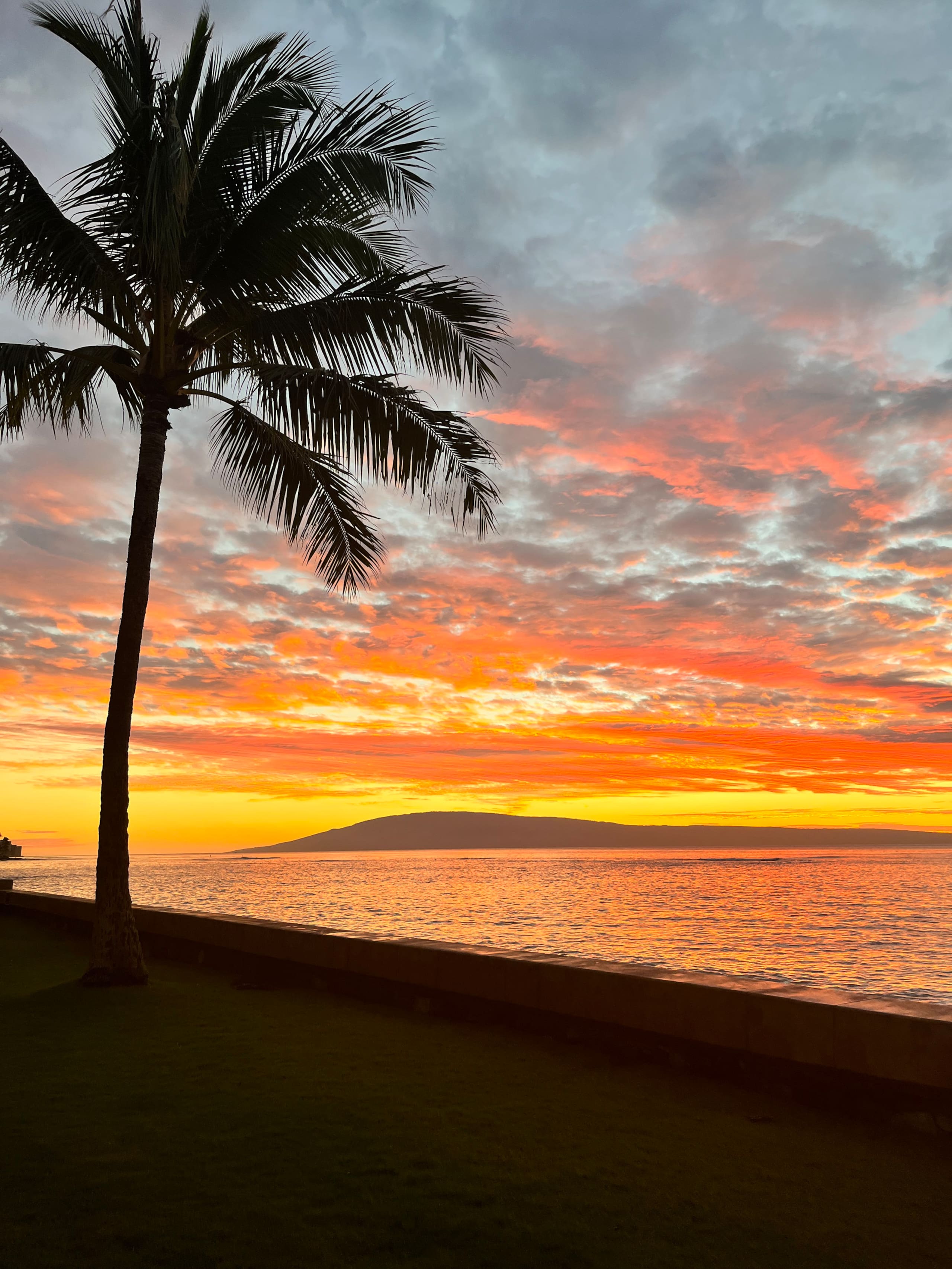 Seaglass Maui - Tranquil Oasis Near the Ocean - Image 43