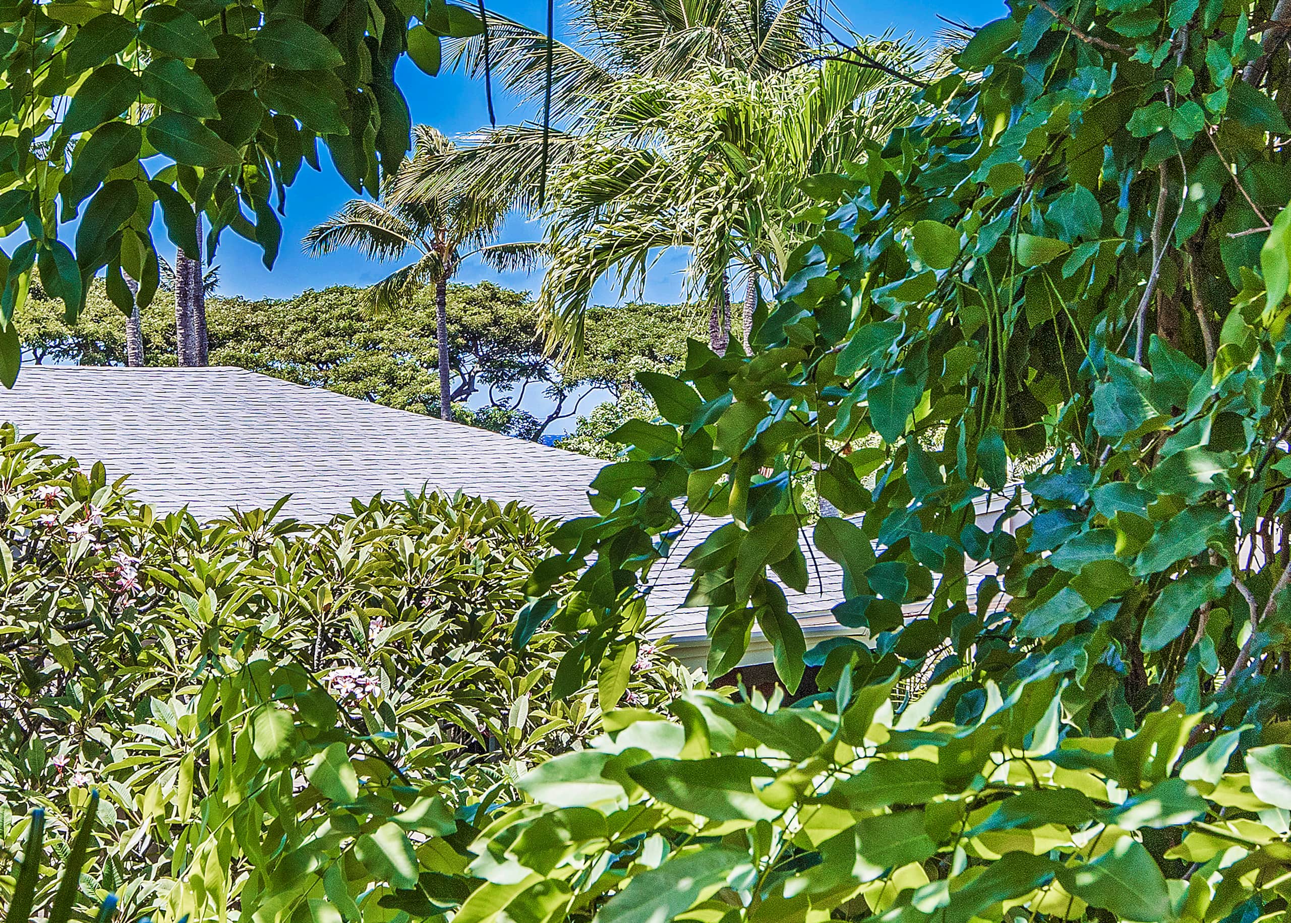 Seaglass Maui - Tranquil Oasis Near the Ocean - Image 21