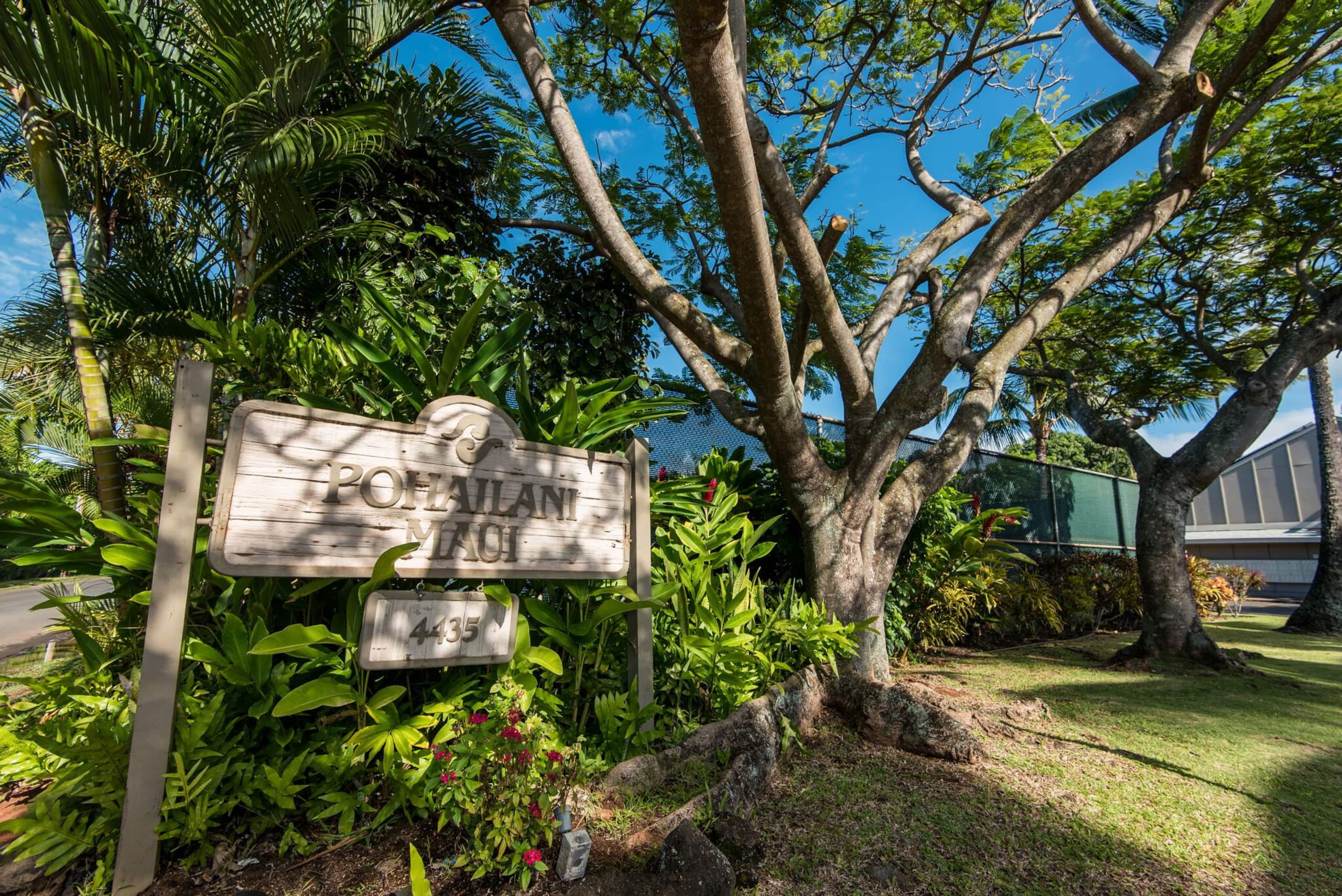 Seaglass Maui - Tranquil Oasis Near the Ocean - Image 19