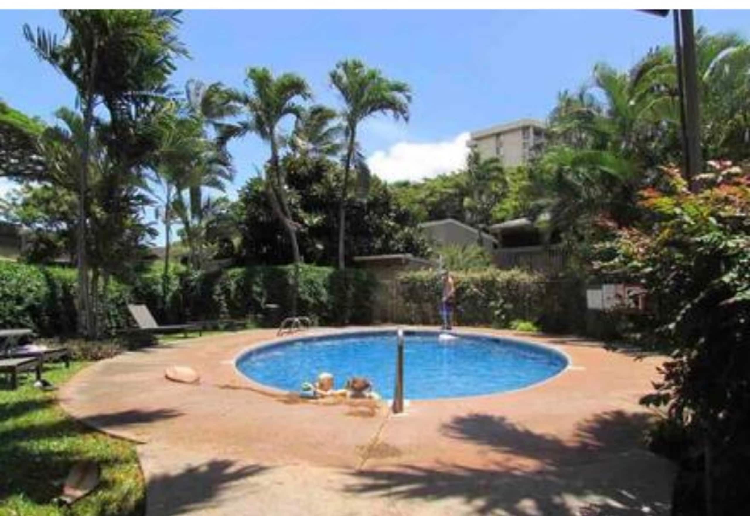 Seaglass Maui - Tranquil Oasis Near the Ocean - Image 31