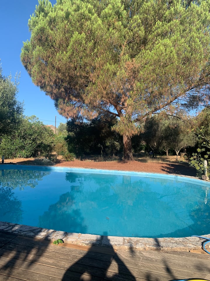 Maison En Corse Piscine. - Corse