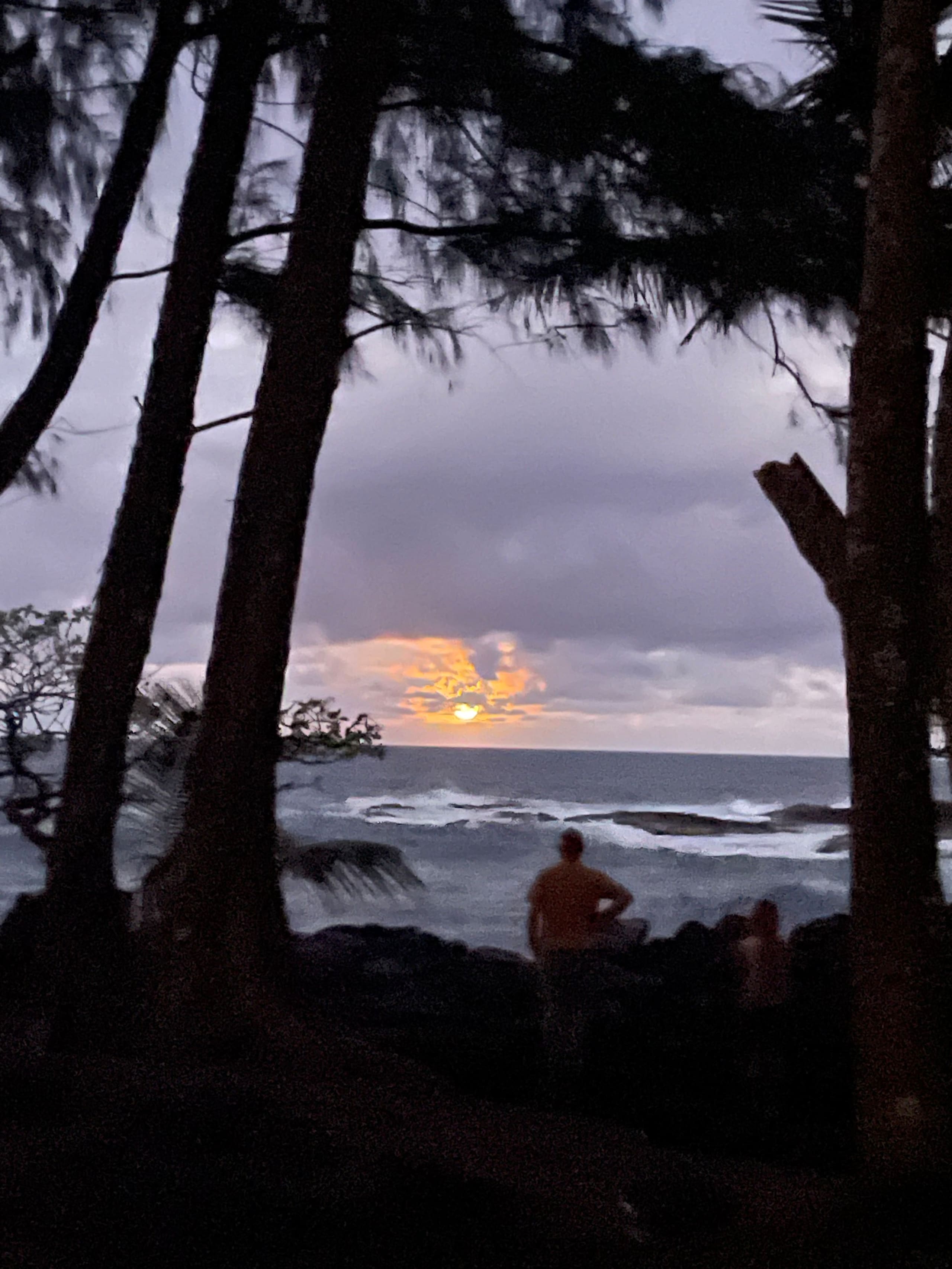 Makuu Palms studio Walk to the Ocean - Photo 18
