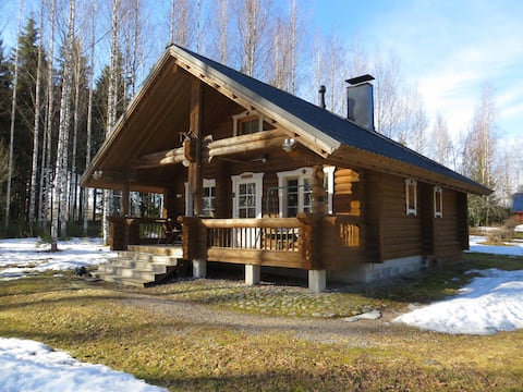 Cozy cottage-karaoke by the lake, Jyväskylä region