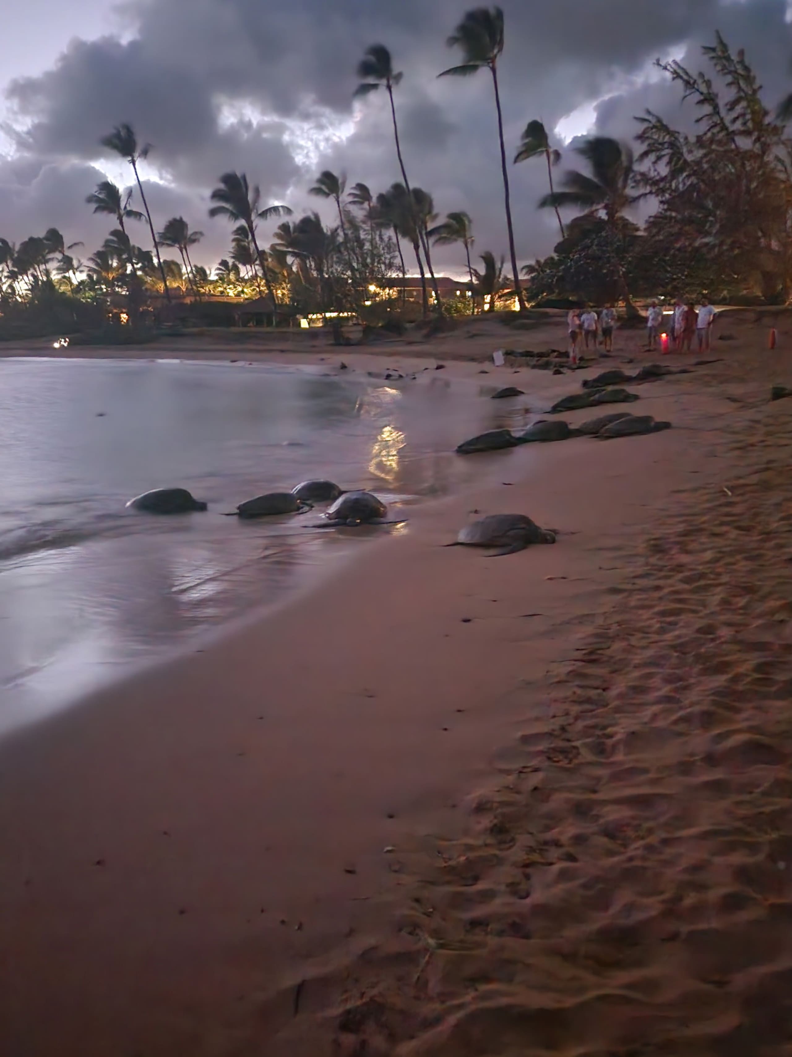 Condo in Koloa · ★4.8 · 1 bedroom · 2 beds · 1 bath - Image 26