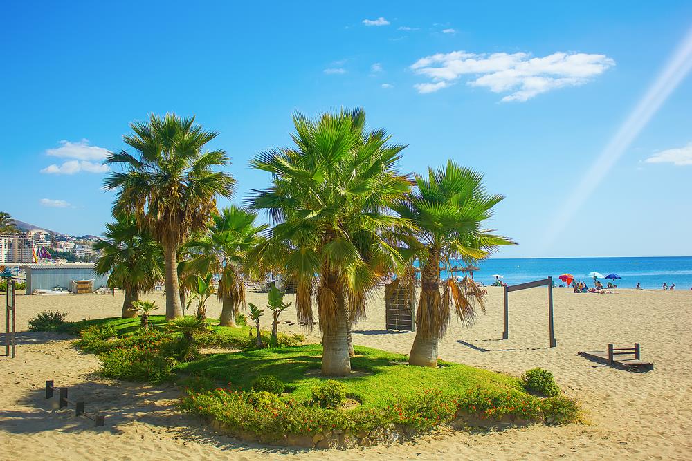 A sandy beach scene features clusters of palm trees set against a clear blue sky. Sunlight reflects off the calm water, where a few umbrellas are visible in the distance. Sparse beach furniture is arranged on the sand, contributing to a relaxed atmosphere.