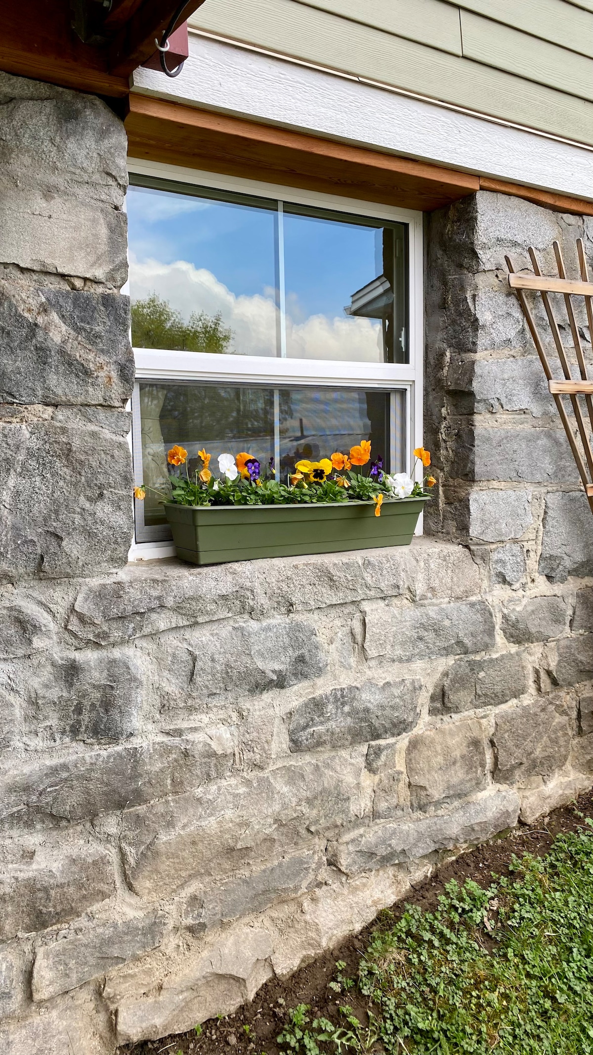A window framed by stone walls features a green planter filled with vibrant pansies in various colors. Natural light illuminates the flowers, with a trellis leaning against the wall nearby, adding a touch of vertical interest to the serene exterior.