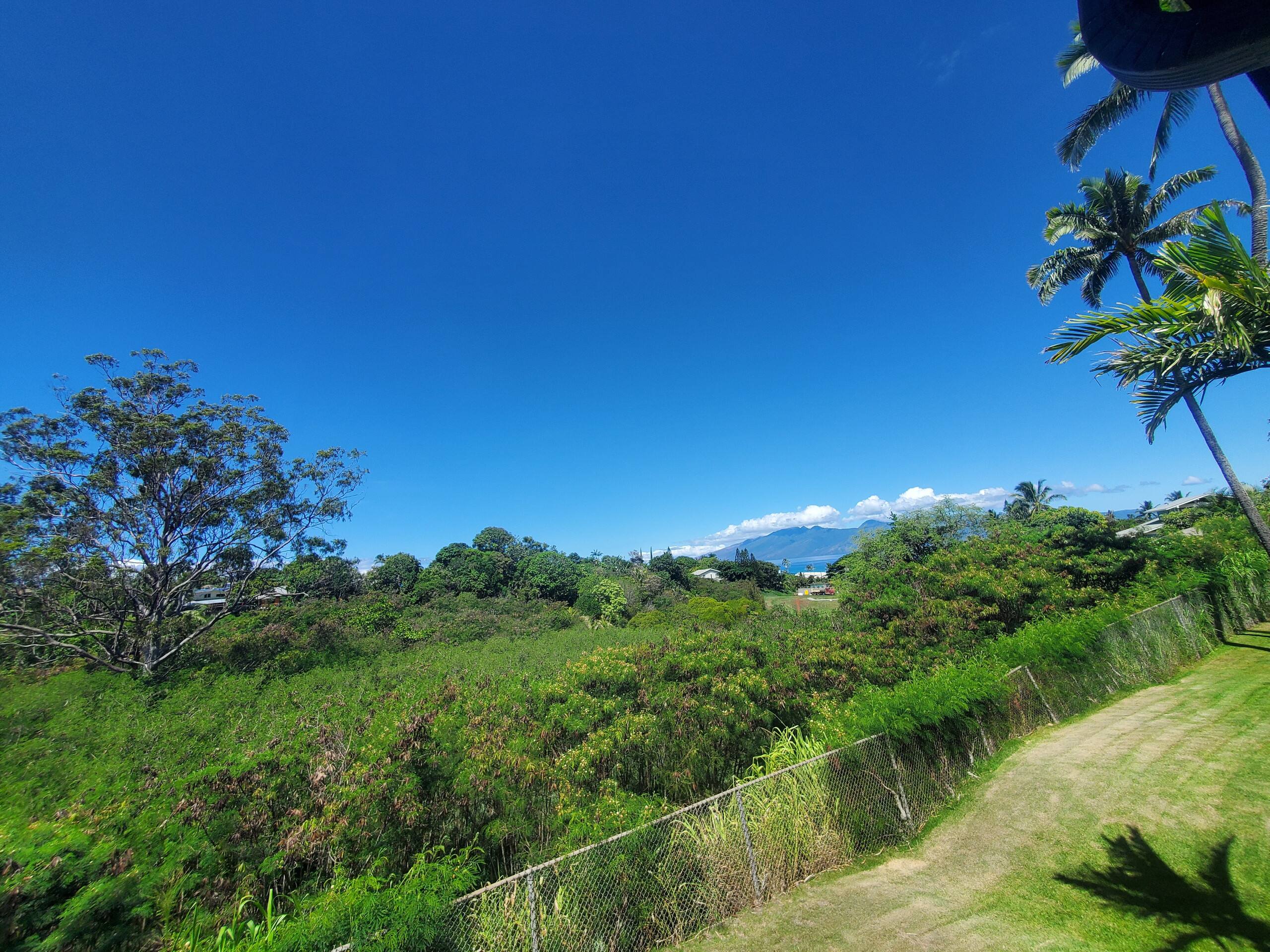 Condo in Lahaina · ★4.84 · 1 bedroom · 2 beds · 1 bath - Image 25