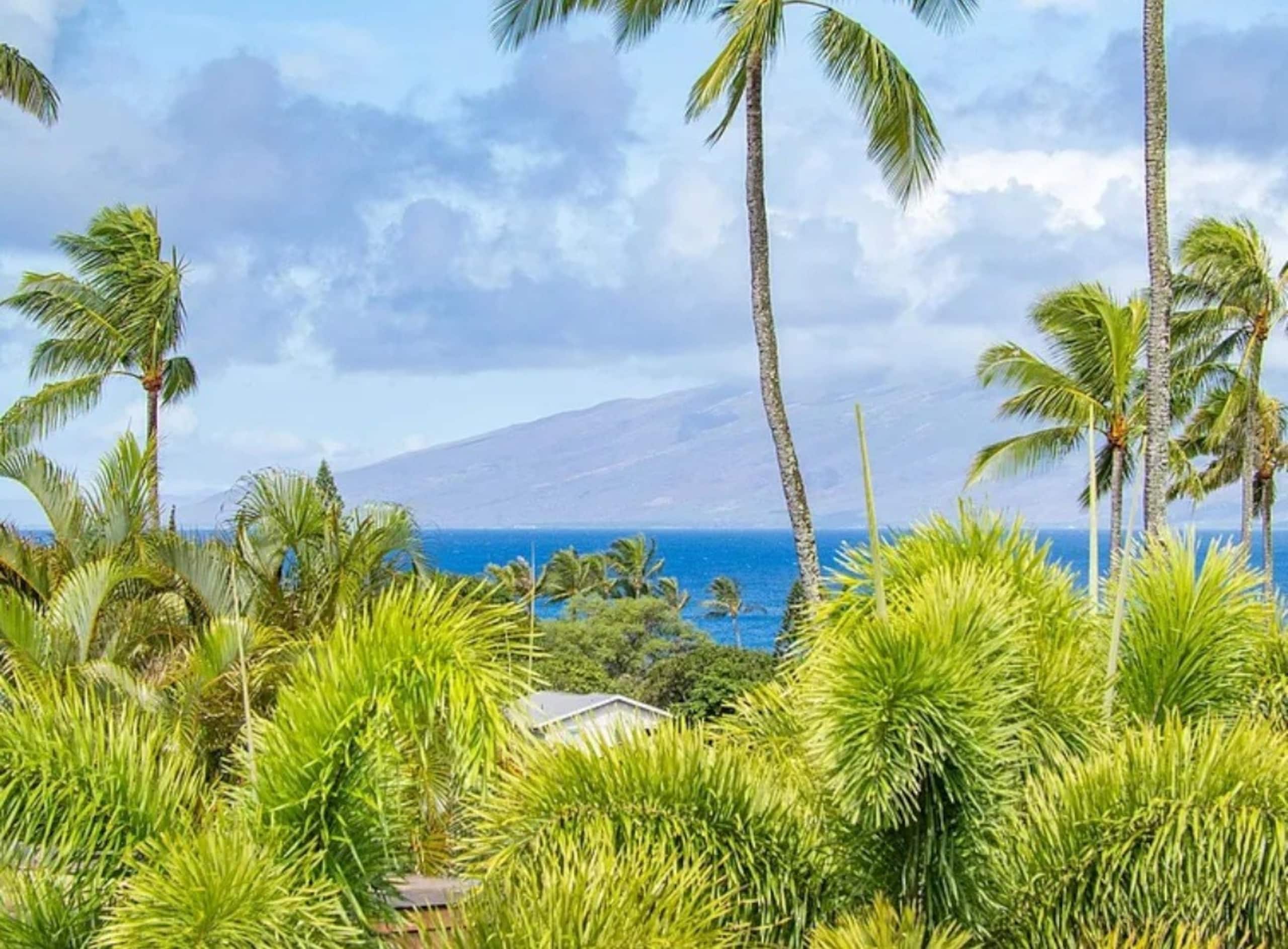Condo in Lahaina · ★4.84 · 1 bedroom · 2 beds · 1 bath - Image 31