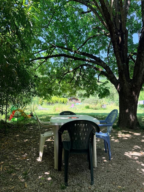 In the shade of the lime trees