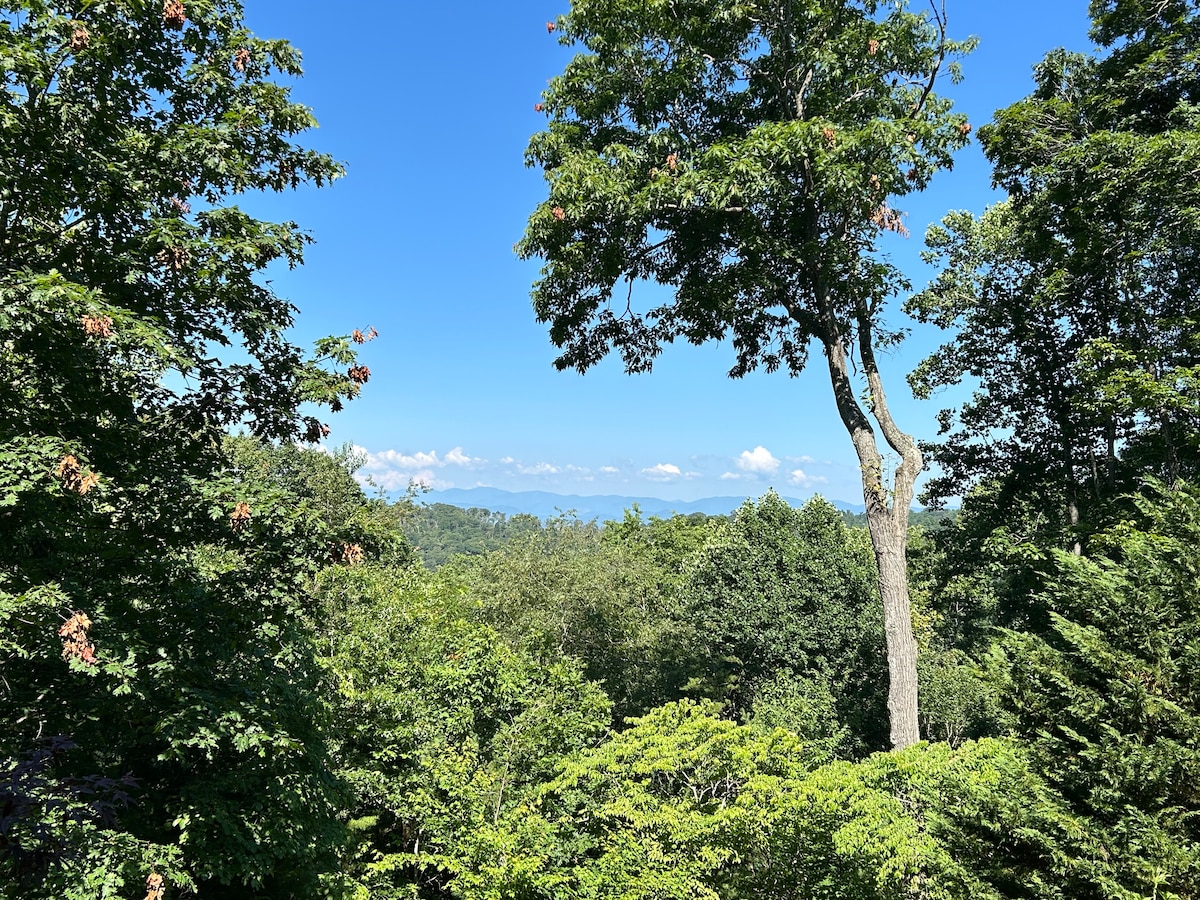 A natural landscape view features a vibrant mix of green foliage, with a tall tree standing prominently in the foreground. In the distance, the rolling mountains are visible beneath a clear blue sky, creating a serene backdrop.