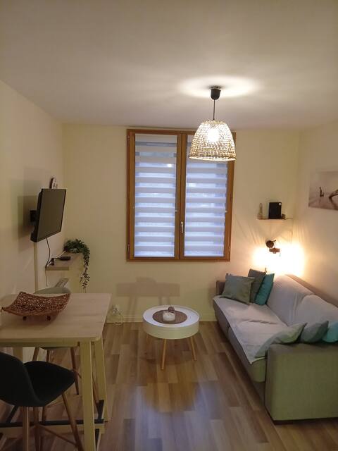 Successful Airbnb property: T2 located 150 meters from the lake in Sevrier