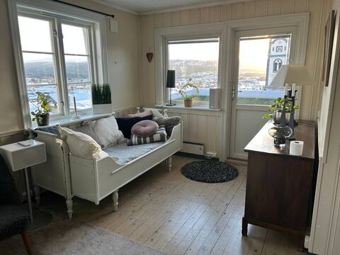 Popular Airbnb listing: Grønnhuset - historic Røros in Røros