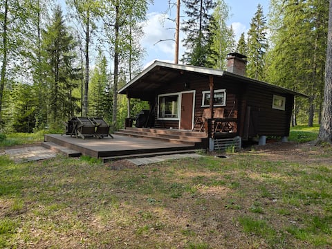 VillaVuorislammi Unique wilderness cottage in the middle of nature