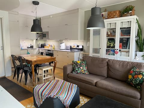 Top Airbnb: Apartment next to the center of Oulu in Oulu