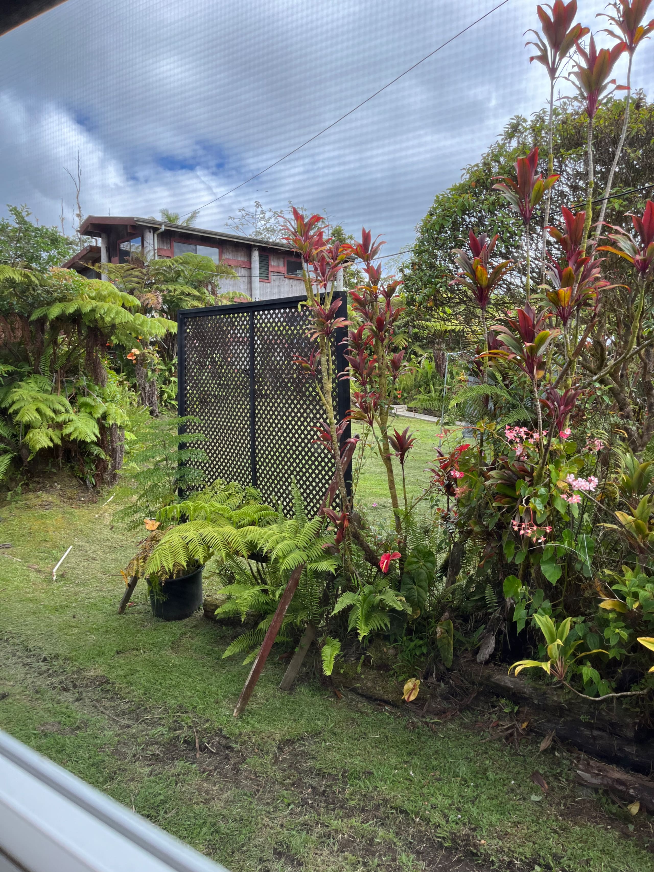 Guesthouse in Pahoa · ★4.97 · 1 bedroom · 1 bed · 1 private bath - Image 4