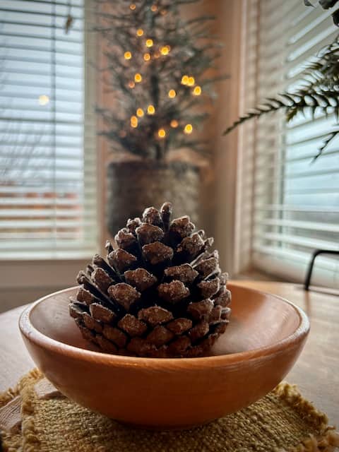 Hallmark Getaway~in a meadow with our minidonkeys!