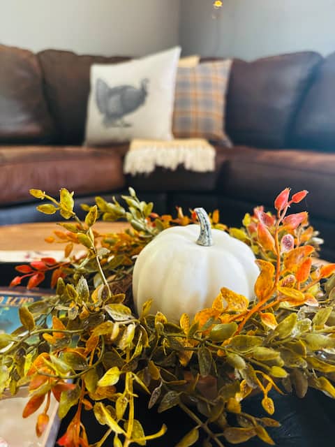 Fall Getaway in peaceful meadows w/our minidonkeys