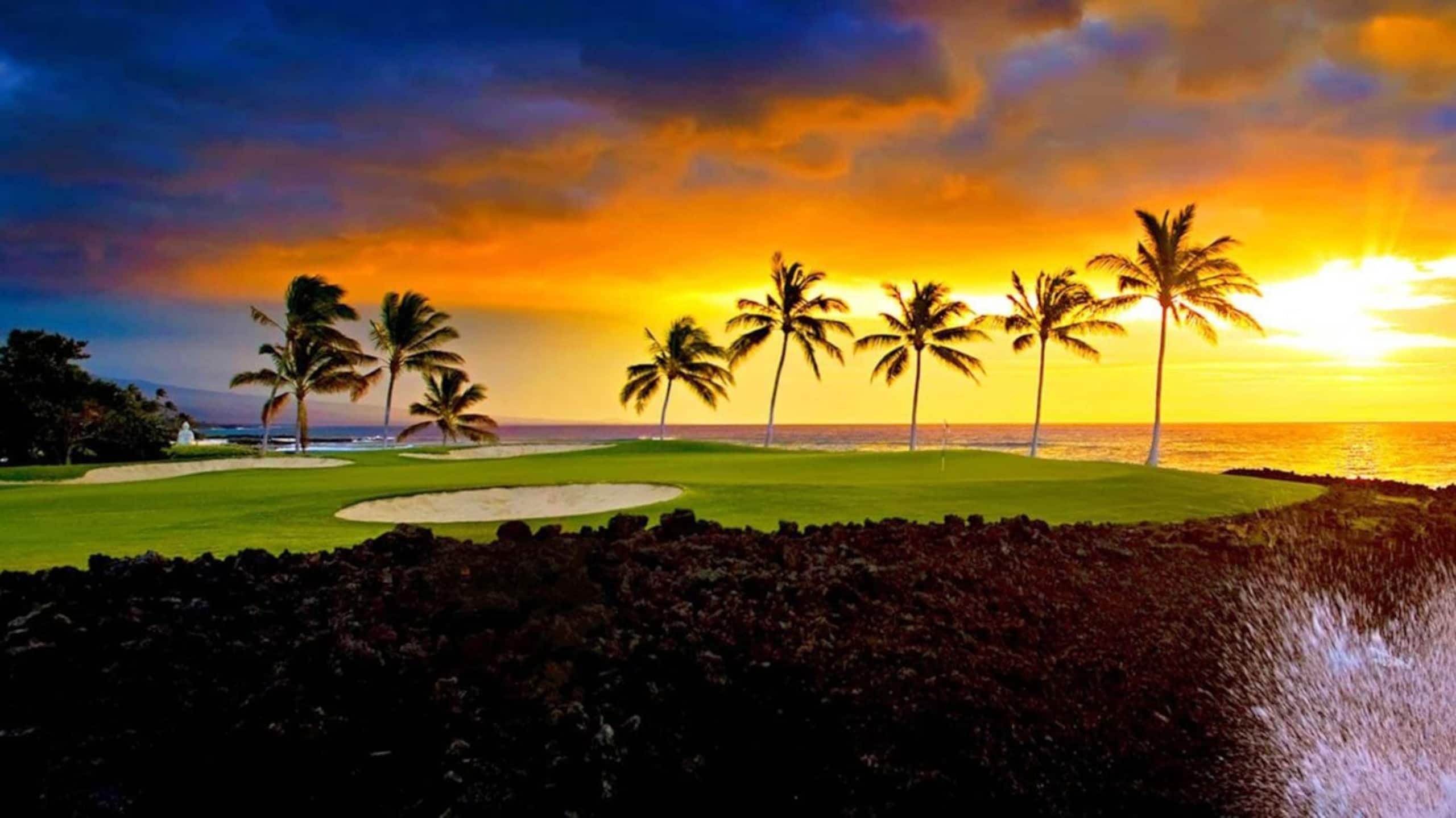 Vista Waikoloa A301 Oceanview Condo, Bright, Chic - Photo 29