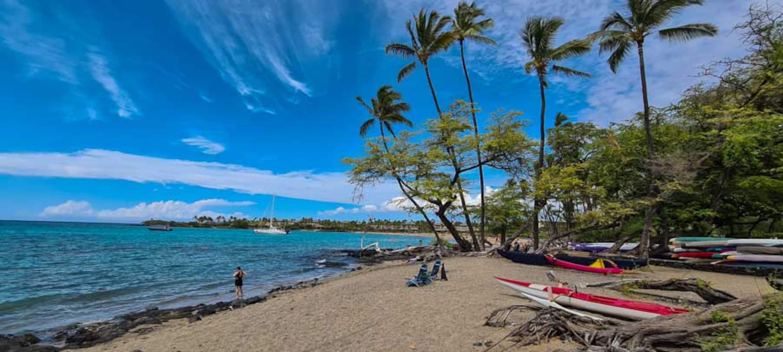 Vista Waikoloa A301 Oceanview Condo, Bright, Chic - Photo 27