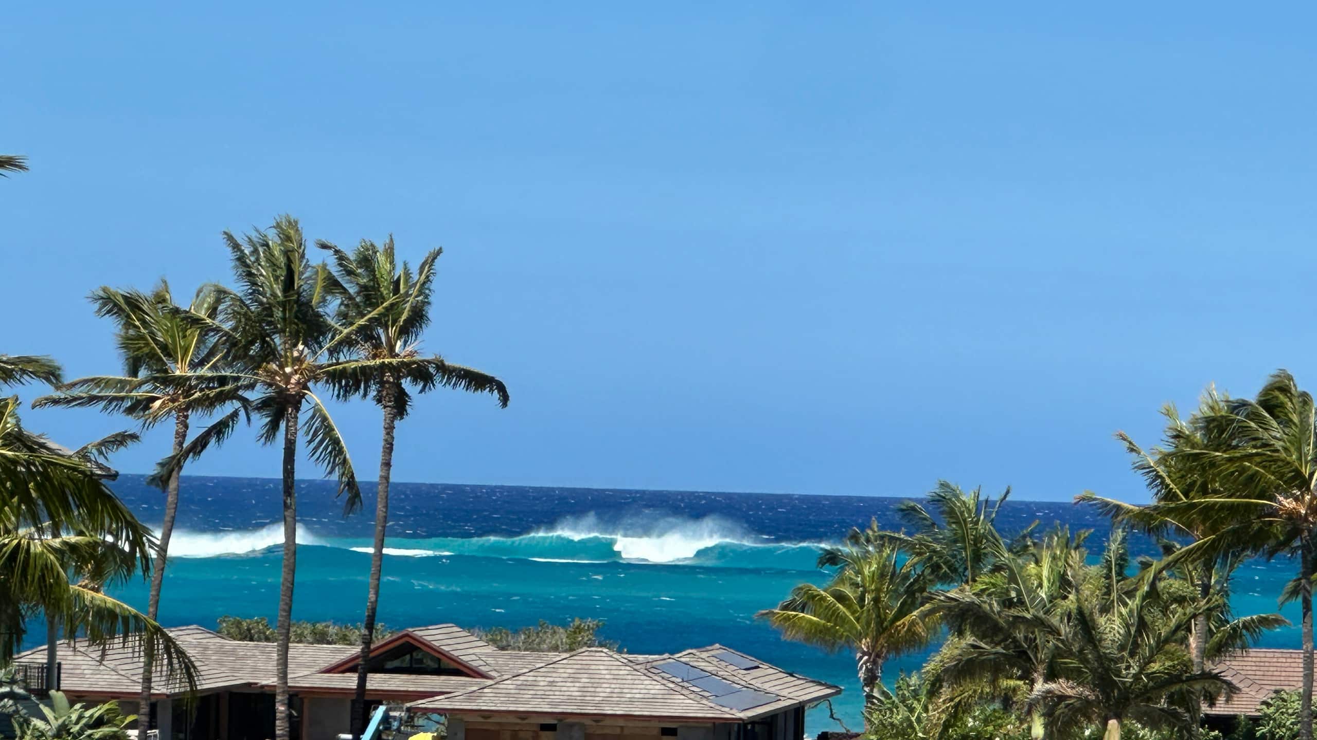 Vista Waikoloa A301 Oceanview Condo, Bright, Chic - Photo 33