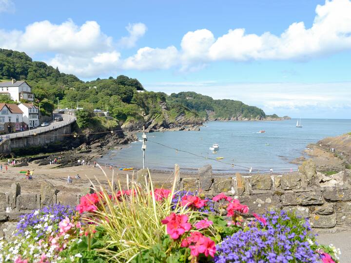 Harbour Hideaway Circa 1750 - Combe Martin Bay