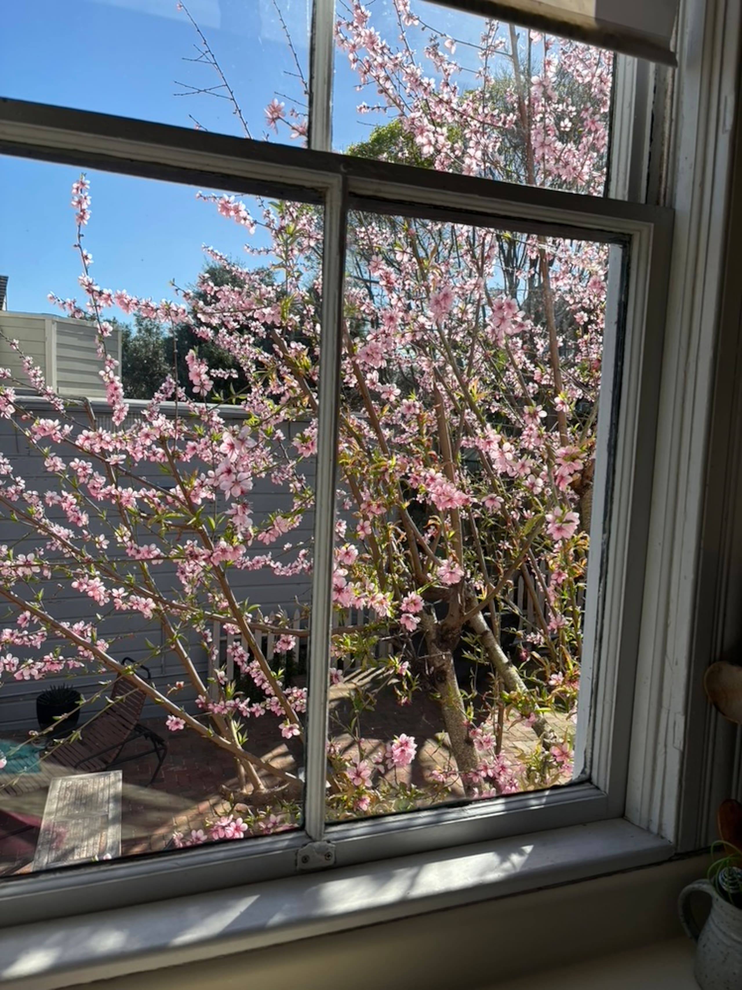 Home in San Francisco · ★5.0 · 1 bedroom · 1 bed · 1 bath - Image 9