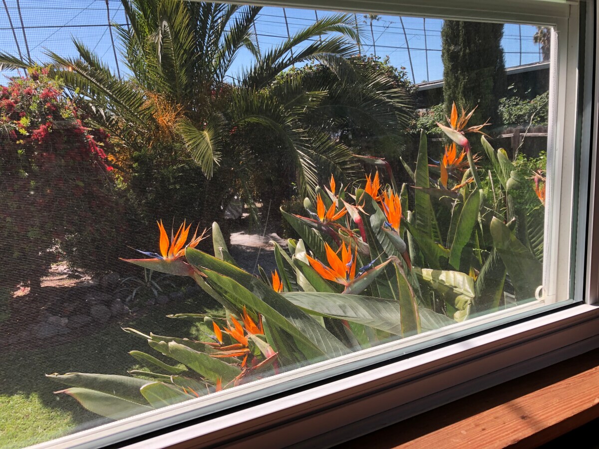 Estudio fresco y sereno - Suites con entrada independiente en renta en Los  Ángeles, California, Estados Unidos - Airbnb, image size:1200x900