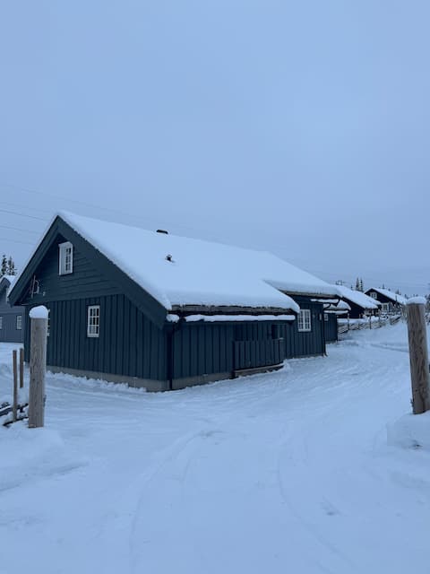 Family cottage centrally located on Skeikampen