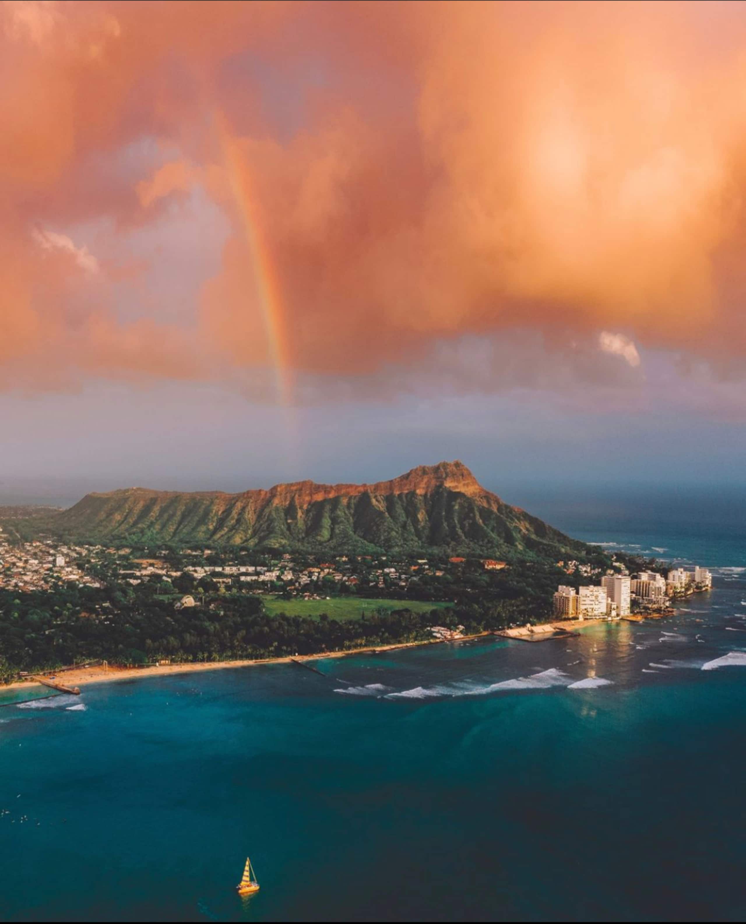 The Aloha Suite - Image 17