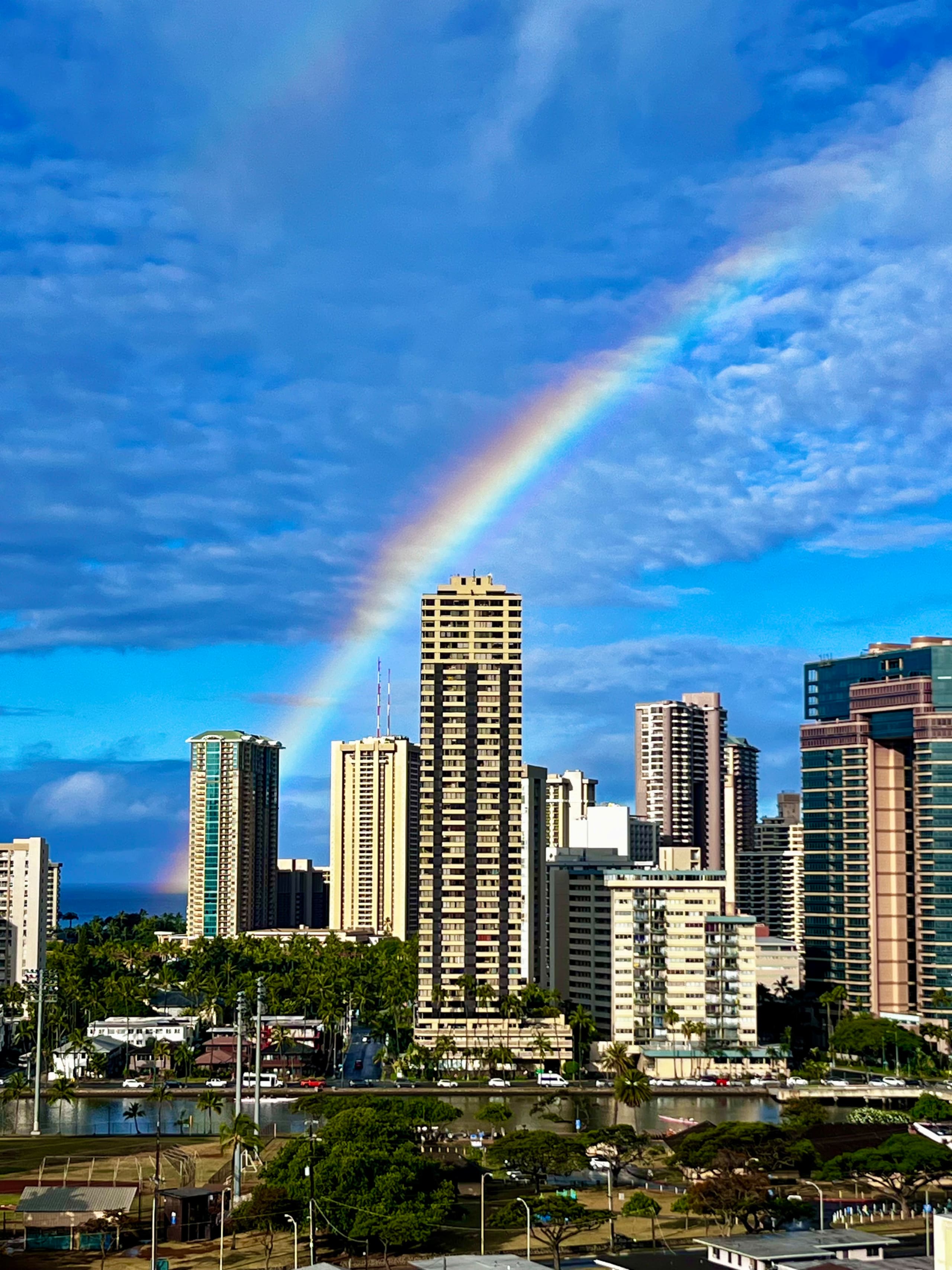The Aloha Suite - Image 12