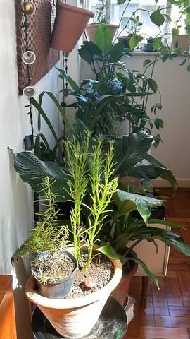 Aconchegante apt em Ipanema gallery image 4