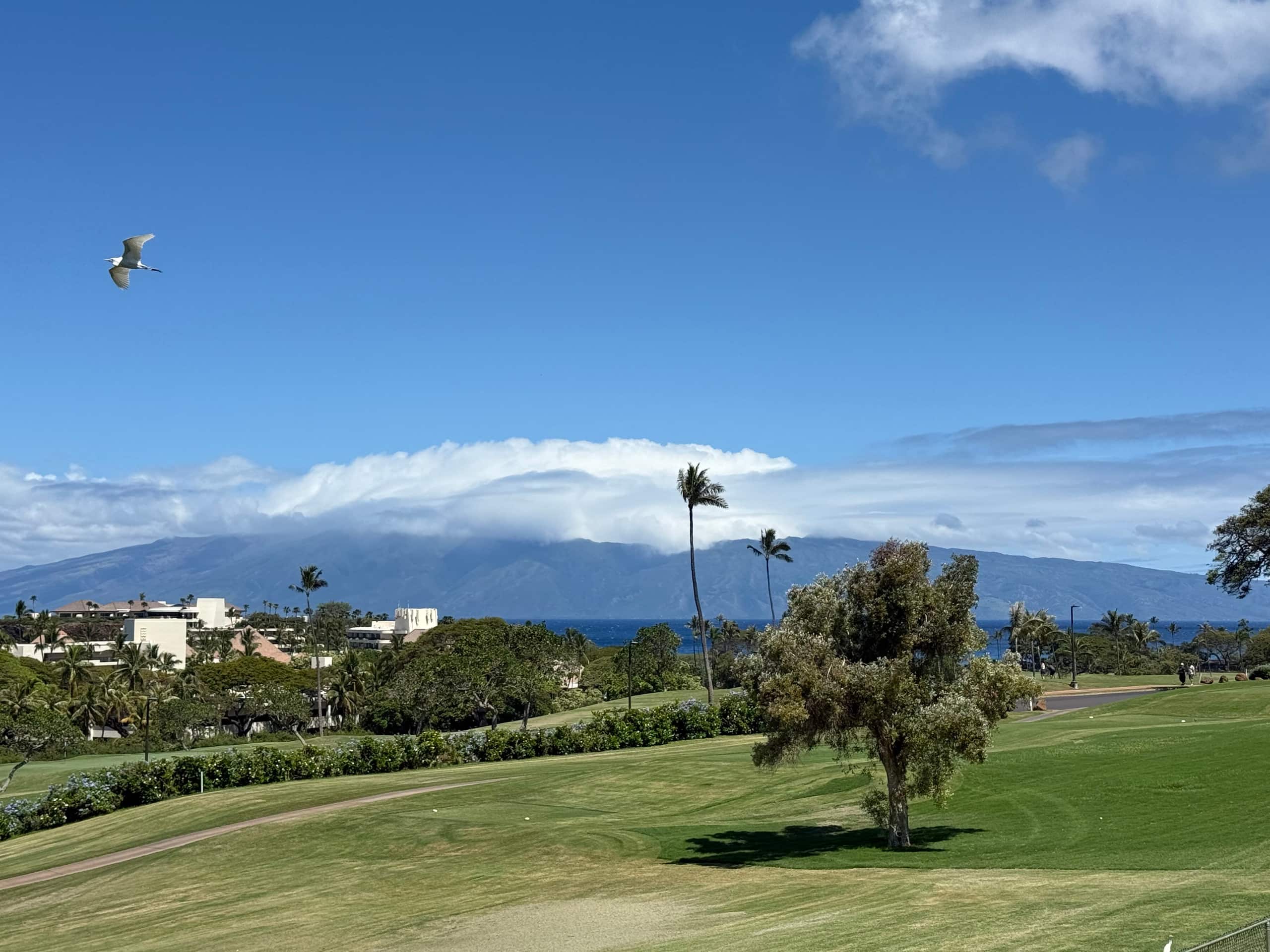 Condo in Kaanapali · ★4.79 · 2 bedrooms · 3 beds · 2 baths - Image 39