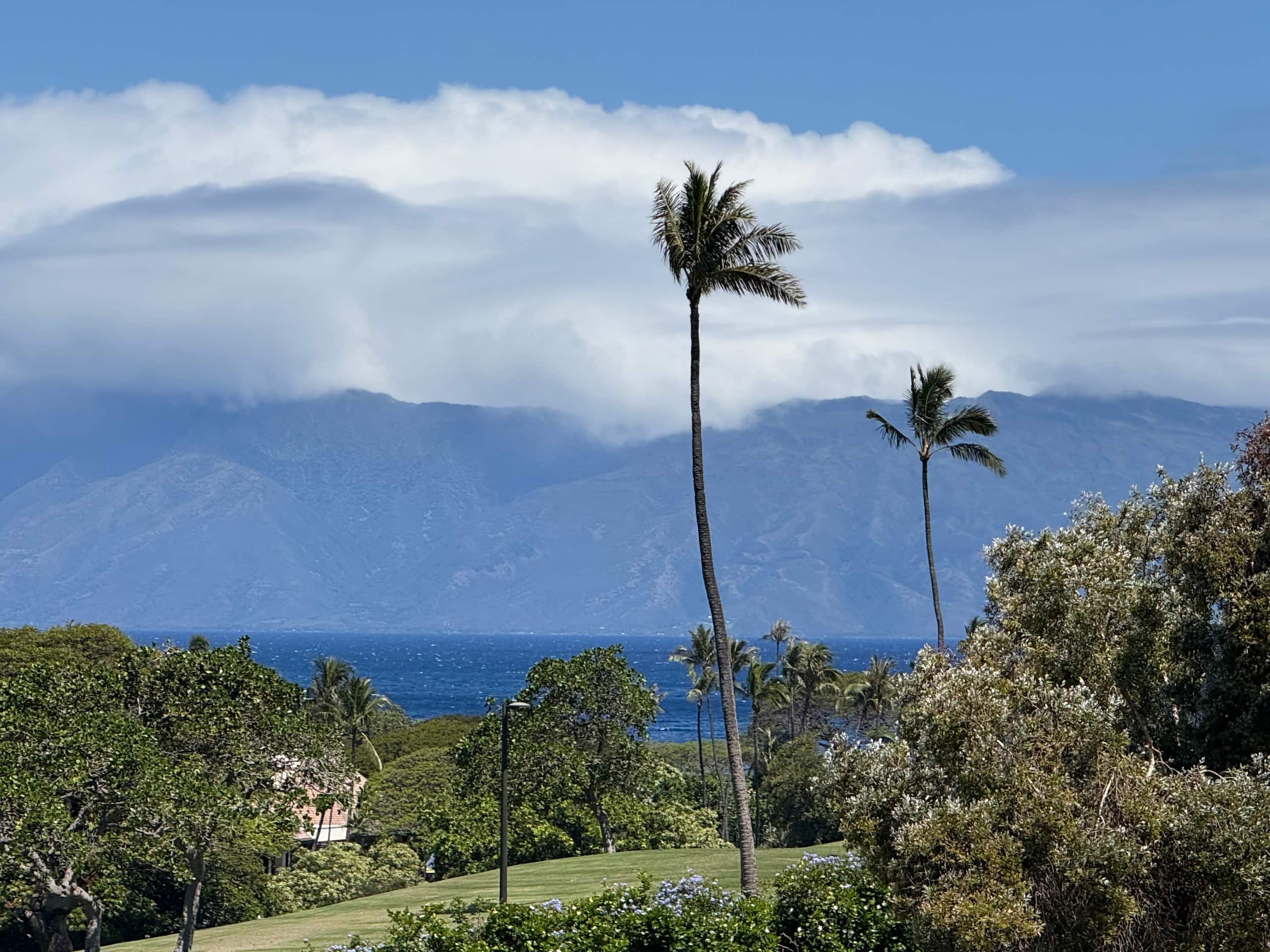 Condo in Kaanapali · ★4.79 · 2 bedrooms · 3 beds · 2 baths - Image 37