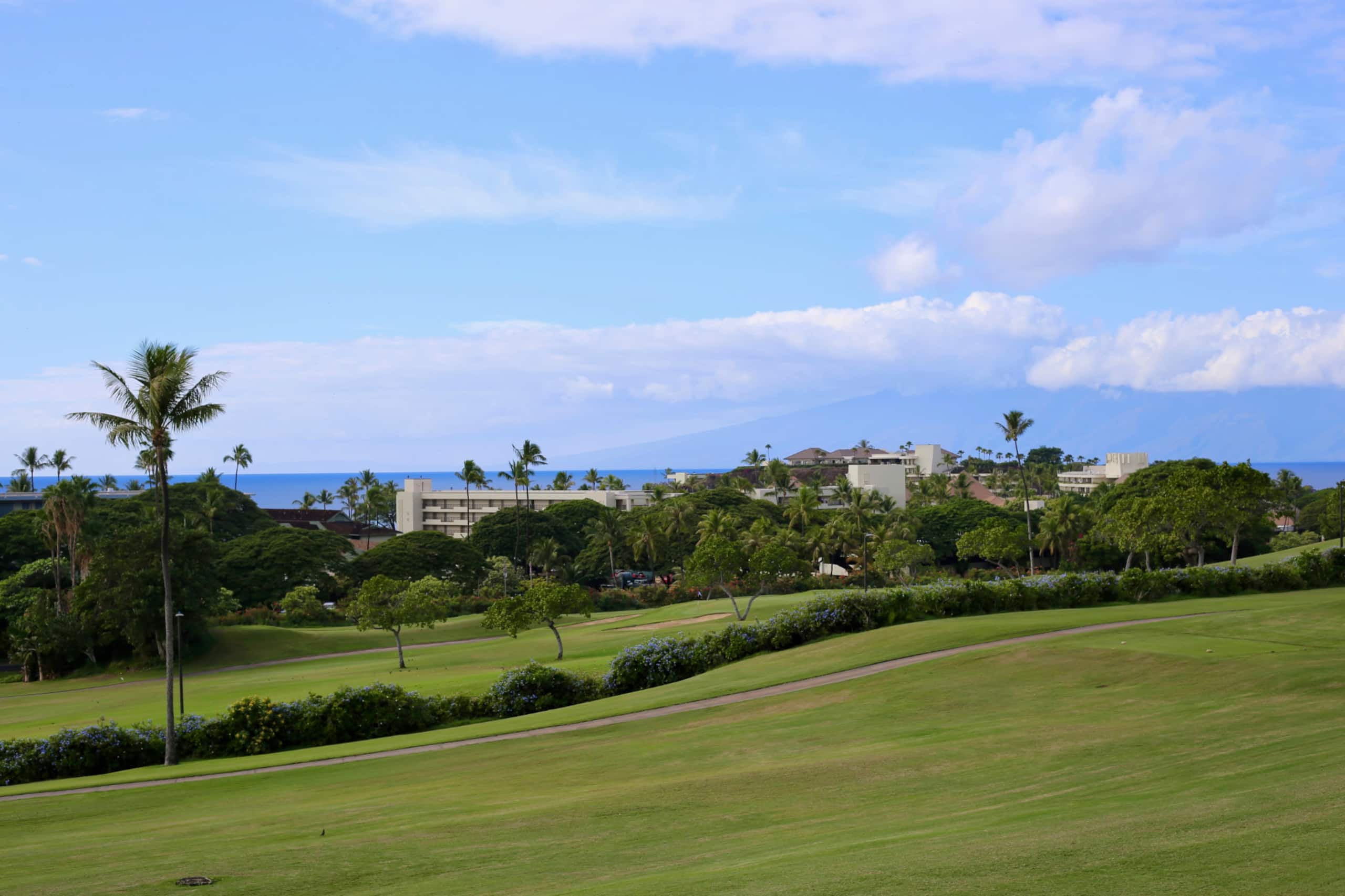 Condo in Kaanapali · ★4.79 · 2 bedrooms · 3 beds · 2 baths - Image 32