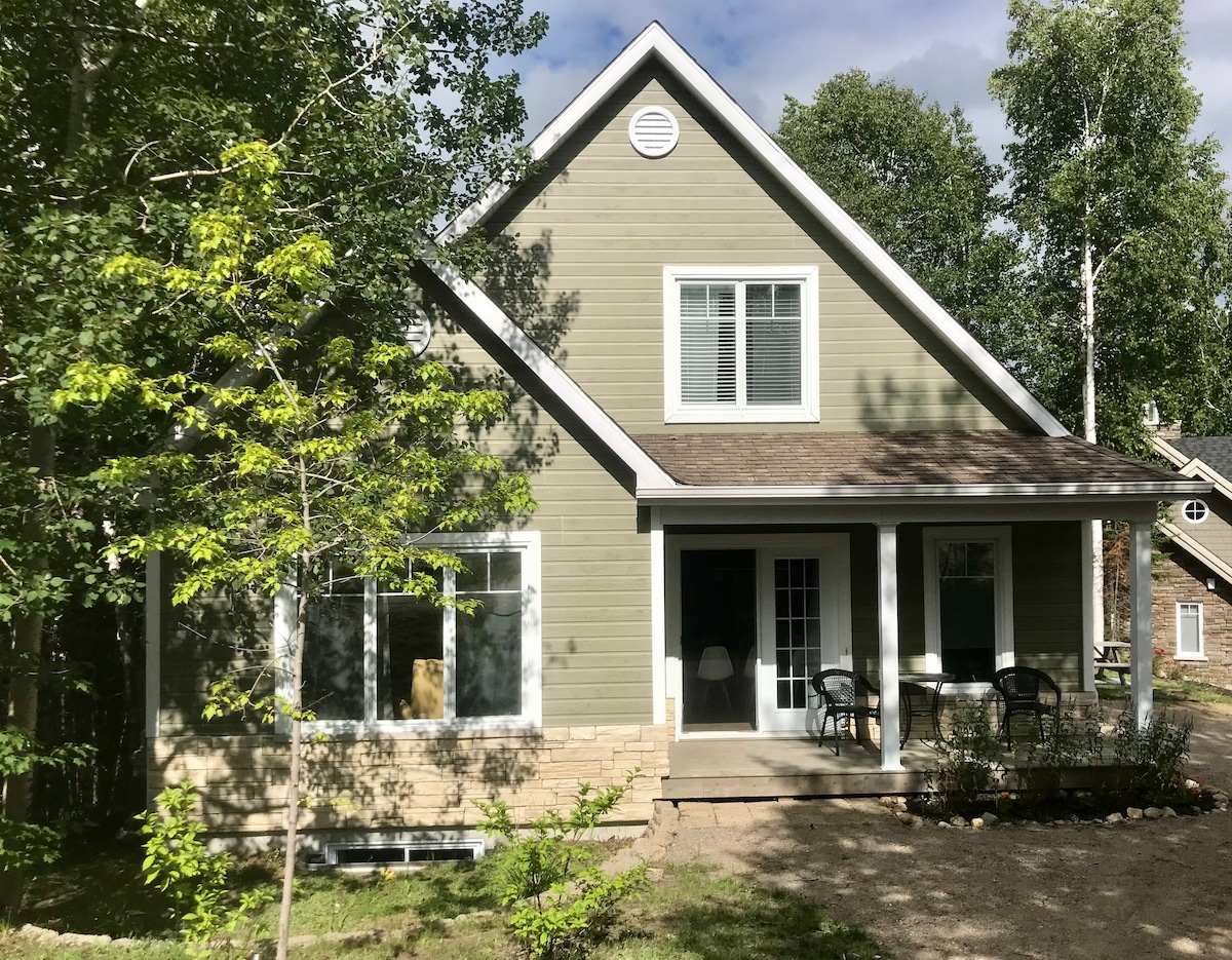 The exterior of the chalet features a light green facade, complemented by white trim and a steeply pitched roof. A covered front porch includes seating and showcases large front windows, allowing natural light to fill the interior. Surrounding trees enhance the tranquil setting.