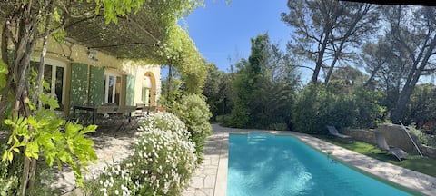 Villa with pool in Provence