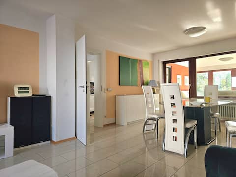 Stylish house