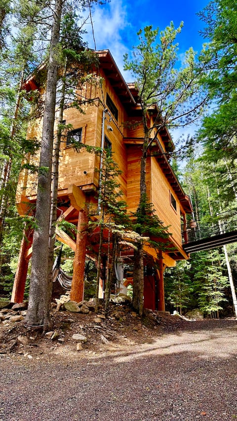 The Ultimate TREEHOUSE AND Cabin Experience!!!