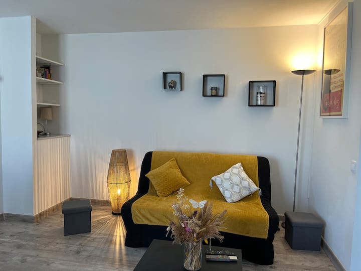 Joli Appartement Rénové Avec Jardin Clos - Saint-Trojan-les-Bains