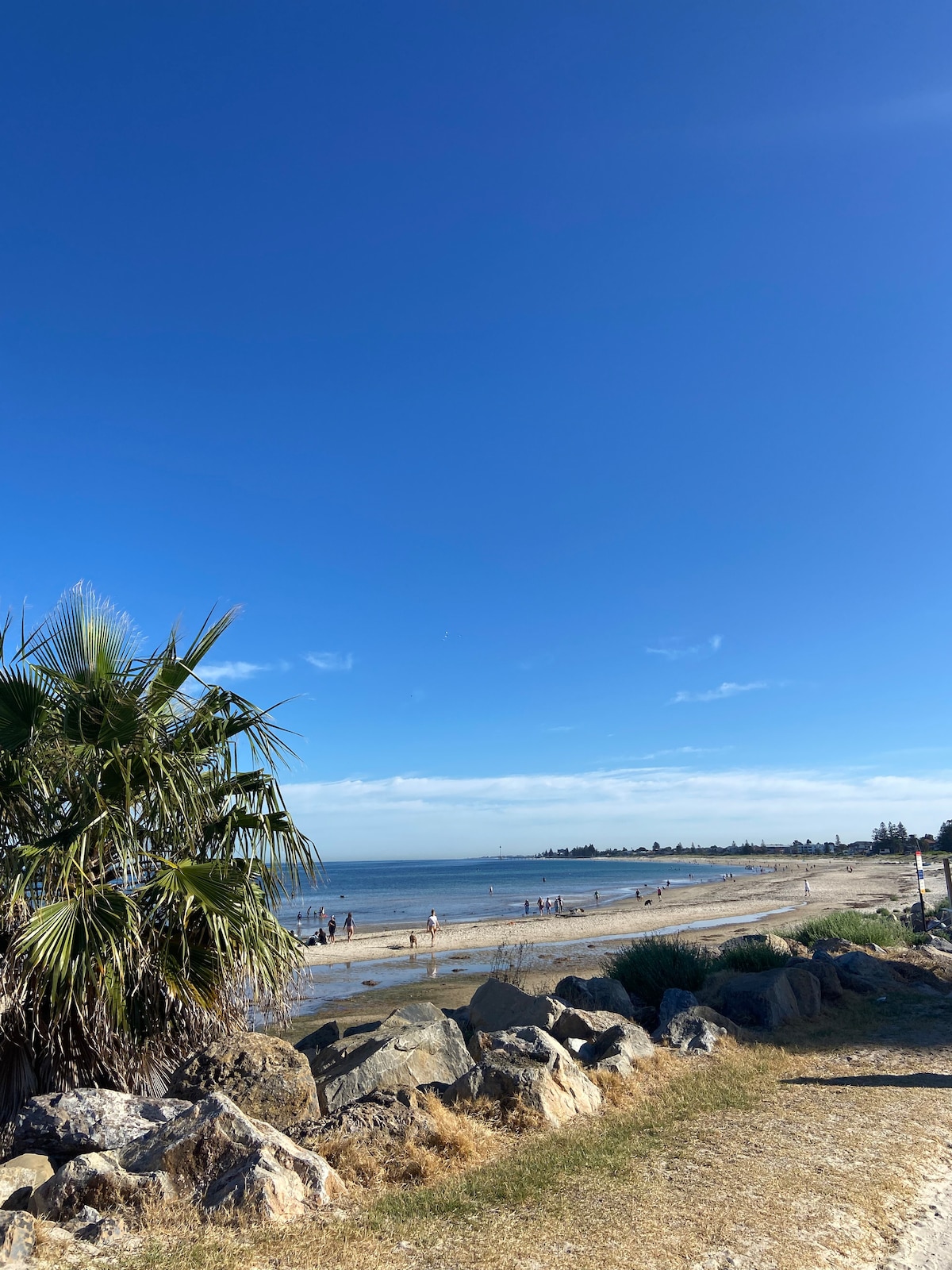 A sandy beach stretches along the shoreline under a clear blue sky. Light waves lap at the shore, where people are seen enjoying the water. Palm trees and rocky outcrops frame the path leading toward the beach, creating a serene coastal environment.