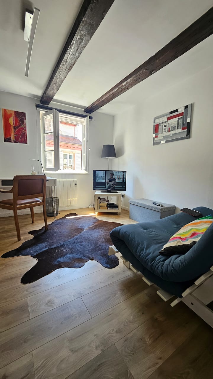 2 Pièces Cosy - Petite France - Strasbourg