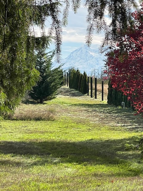 Mountain View ...walk to attractions & dining!