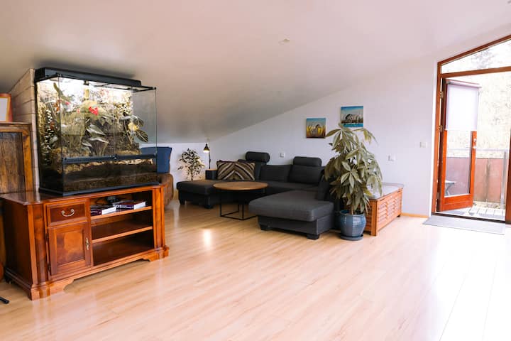 Spacious Loft Apartment - IJsland