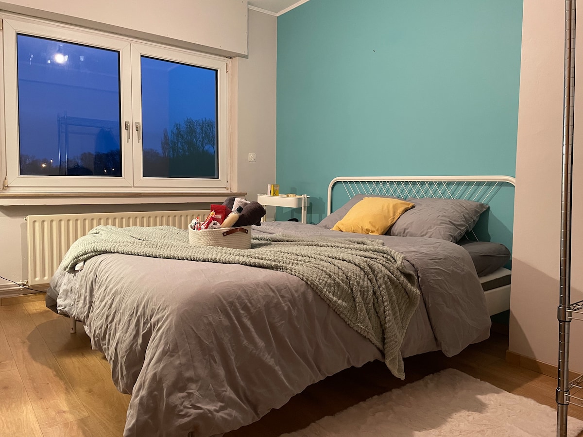 The bedroom features a spacious bed dressed in soft linens and a warm throw, accompanied by a bedside table. A large window allows natural light to envelop the room, complemented by a calming teal wall, while the light wood flooring adds to the modern feel.